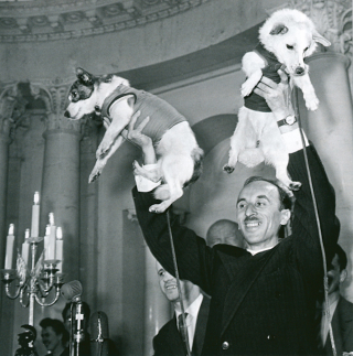 Illustration for article titled That Time Soviet Russia Sent Dogs Into Space